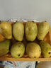 三萌果蔬金煌芒芒果 当季现摘青皮水仙大芒果新鲜海南水果整箱节日送礼 5斤精选装净重4.5斤 单果200g+ 实拍图