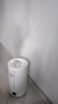 美的（Midea）空气加湿器净化器一体机便携家用母婴专用卧室静音除菌喷雾器空调风扇伴侣女生礼物国家补贴98K 实拍图