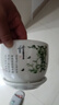 裕轩堂花盆陶瓷家用吊兰蝴蝶兰绿萝带托盘大号个性阳台简约多肉室内套装 梅兰竹菊（四个14厘米） 中等 实拍图