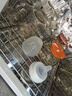 贝亲（Pigeon）新生儿 防胀气宽口径PPSU奶瓶160ml SS号奶嘴 0个月+AA261  实拍图