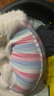 拉维佩特（LOVINGPET）狗绝育手术服 小型犬绝育衣服狗狗术后服公狗母狗绝育服 粉色 XL 建议12-18斤 实拍图
