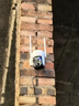 威视达康（VSTARCAM）室外4g摄像头360度无死角手机远程家用户外农村门口监控器插流量卡无需网络wifi防水带夜视 实拍图