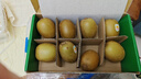 佳沛（zespri）新西兰阳光金奇异果 8个装 特大果单果重约122-146g 水果猕猴桃 实拍图