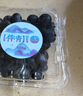 京鲜生 国产蓝莓 12盒14mm+装 125g/盒 生鲜水果 源头直发 包邮 实拍图