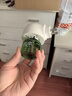 润本驱蚊液220ml×2瓶防蚊虫叮咬驱蚊喷雾花露水7%驱蚊脂无香 实拍图
