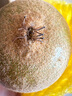 佳沛（zespri）新西兰  阳光金奇异果6粒装 单果约77-103g  源头直发  猕猴桃 实拍图