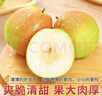 京地达梨山东玉露香梨净重9斤单果300g+新鲜梨子水果礼盒源头直发包邮 实拍图