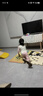 迪士尼（DISNEY）k歌麦克风音响一体无线话筒儿童礼物玩具无线蓝牙音箱智能小度语音生日男女孩礼盒礼物 MK18米妮粉 实拍图