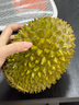 市舶士马来西亚猫山王榴莲D197整果树熟液氮冷冻榴莲进口水果礼盒 【拍下升AA级2.6-3.0斤发】A级精品 2.6-3.0斤 实拍图