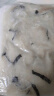 钓鱼记脆肉罗非鱼片/翡翠鱼片1斤 脆肉鲷鱼 酸菜鱼 火锅食材 冷冻 生鲜 实拍图