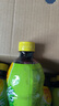 维他奶维他鸭屎香柠檬茶500ml*15瓶 实拍图