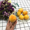 山东蒙阴黄油桃现摘脆甜软甜桃子油桃非毛桃孕妇宝宝当季水果包邮 5斤 特大果3个左右/斤 实拍图
