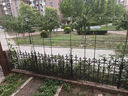 两腿跑【送货上门】爬藤架葡萄黄瓜豆角架种菜花支架庭院园艺花卉支撑杆 粗16mm长240cm10支 特大 实拍图
