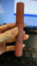 3CE丝绒唇釉脏南瓜色Spiced Chill口红MUUT限定唇膏生日礼物送女友 实拍图
