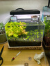 疯狂水草生态鱼缸水草泥造景水草缸底砂免洗底沙水藻泥3L水草专用泥基肥 实拍图
