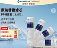 爱惠浦（Everpure）家用厨下 10寸/5微米 前置过滤各品牌通用净水器 PP棉滤芯4支装 实拍图