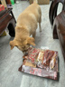 HELLOJOY狗狗零食鸡肉干泰迪金毛幼犬磨牙训练奖励 经典鸡胸肉360g 实拍图