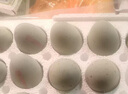 鄱湖鸭舍 无铅松花蛋皮蛋溏心松花皮蛋无铅工艺变蛋厂家麻鸭蛋批发 70-80克/枚【30枚-超值】 实拍图