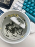 春上早茉莉花茶 2025新茶浓香特级飘雪四川茉莉毛尖茶叶花草茶罐装125g 实拍图