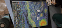 凡·高 (Taschen塔森原版引进 梵高画作完整收录  后印象主义大师油画册集) 实拍图