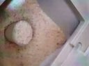 安井 桶装手抓饼 葱香味 2250g 25片  家庭装葱油饼煎饼 速食早餐面点 实拍图
