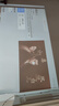 Rigal（瑞格尔）B2Pro 投影仪家用智能投影机卧室投影电视(TOF无感自动对焦 无感自动梯形 家庭影院) 实拍图