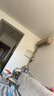 康佳4g监控无线摄像头无需连wifi监控器360度无死角带夜视全景手机远程家用终身免流量高清室户外插电 实拍图