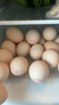 黄天鹅可生食鸡蛋 30枚L级大蛋/3.6斤礼盒装 生鲜鸡蛋源头直发 无抗生素 实拍图