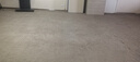 HOOVERHoover胡佛地毯布艺专业清洗机器家庭商用酒店台球室清洁抽吸一体 主机 实拍图
