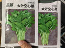 北蔬 大叶空心菜种子通心菜雍菜耐湿热蔬菜籽 大叶空心菜籽20g约380粒 实拍图