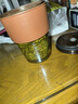 一杯香茶叶绿茶明前高山云雾500g2025新茶春茶礼盒装自己喝日照足送礼 实拍图