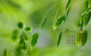 易简（yijan）婴儿理发器自动吸发儿童理发器宝宝剃头器新生儿剪发电推子X18白 实拍图
