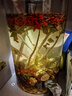半山农泡酒药材料20味组合套装 人参牛鞭海龙肉苁蓉男性搭持久壮阳送礼 实拍图