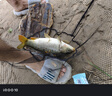 浪尖情邓老师推荐官方浪尖鱼竿手竿钓鱼竿综合竿十大鲤鲫鱼竿大物竿品牌 6.3m 5H28调休闲野钓+大礼包+终身配节 实拍图