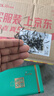 五云村2025新茶信阳毛尖500g茶叶绿茶特级春茶2罐共1斤自己喝带礼袋盒 实拍图