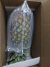 佳农 黑钻菠萝1粒装 菲律宾凤梨 净重2斤起 新鲜水果 源头直发 包邮 实拍图