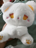 ZOCO可爱高颜值呆呆公仔毛绒玩具玩偶娃娃emo小熊礼物生日礼物 Qy-【白粉熊呆呆】 15.5厘米【限量促中】 实拍图