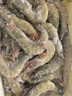 渔游记（YUYOUJI）厄瓜多尔南美白虾3.2斤 5060虾 25-30只/斤 白虾基围虾生鲜 虾类 晒单实拍图