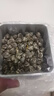 猴王牌茉莉花茶茉莉龙珠特级100g罐装茶叶横县茉莉茶叶 实拍图
