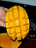 京鲜生新鲜玉芒  净重4.5斤 单果200g＋ 新鲜芒果 源头直发包邮 实拍图