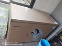 荣事达（Royalstar）冰柜商用大容量全冷冻卧式冰柜家用冷藏冷冻两用冷柜双温商用大冰柜冷冻柜展示柜 330升单温金色微霜【一级能效】 实拍图