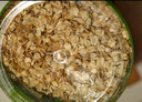 穗格氏（SHEGURZ）早餐谷物 即食有机燕麦片 900g罐装 原味无糖精钠 营养免煮冲饮 实拍图
