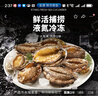 金唐鲜冻大鲍鱼净重500g/ 10头鲍 带壳鲍鱼肉 贝类海鲜生鲜火锅烧食材 实拍图