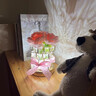餐将军 魔方玫瑰花束玻璃罩小夜灯桌面摆件结婚纪念日生日礼物女友老婆 实拍图