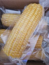 京鲜生 东北黄糯玉米250g*10棒 新鲜甜糯玉米棒真空包装粘玉米 源头直发 实拍图