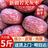 瑾味緣新疆若羌灰枣24年新货新疆灰枣红枣特产级大枣蜜饯果干带沙吊干枣 特级新疆若羌灰枣5斤【已洗】 实拍图