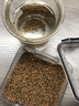匠界养生茶净口密封盒苦荞茶黑苦荞四川黑珍珠麦香型花草大麦茶150g 实拍图