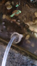 sobo松宝 鱼缸氧气泵 水族箱增氧泵 养鱼氧气泵  水族用品 双孔8W 【贈全套配件】 实拍图