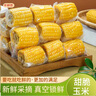 京地达云南水果甜玉米段净重2斤10段左右开袋即食新鲜真空装甜嫩玉米 实拍图
