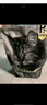 金多乐猫粮流浪猫猫粮成猫幼猫通用型爱心救助营养猫饭 鲜鸡肉猫粮10kg 实拍图
